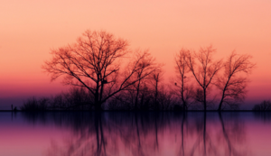 防腐玻璃钢风机厂家直销,防腐玻璃钢风机厂家直销有哪些