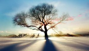 防腐轴流风机型号参数,防腐轴流风机适用范围