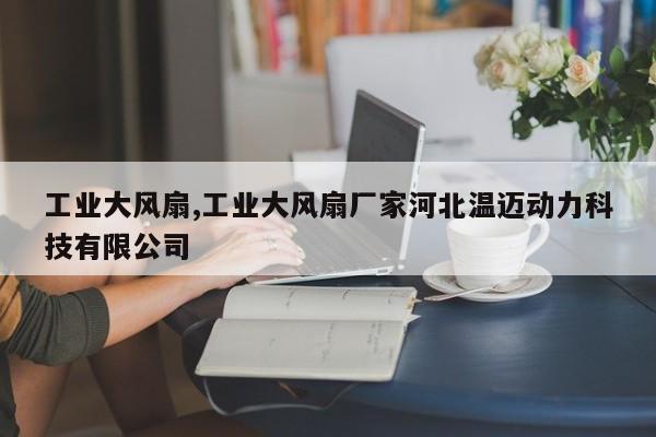工业大风扇,工业大风扇厂家河北温迈动力科技有限公司